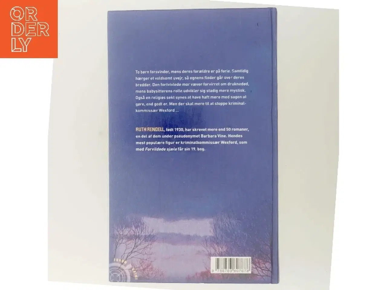 Billede 3 - Forvildede sjæle af Ruth Rendell (Bog)