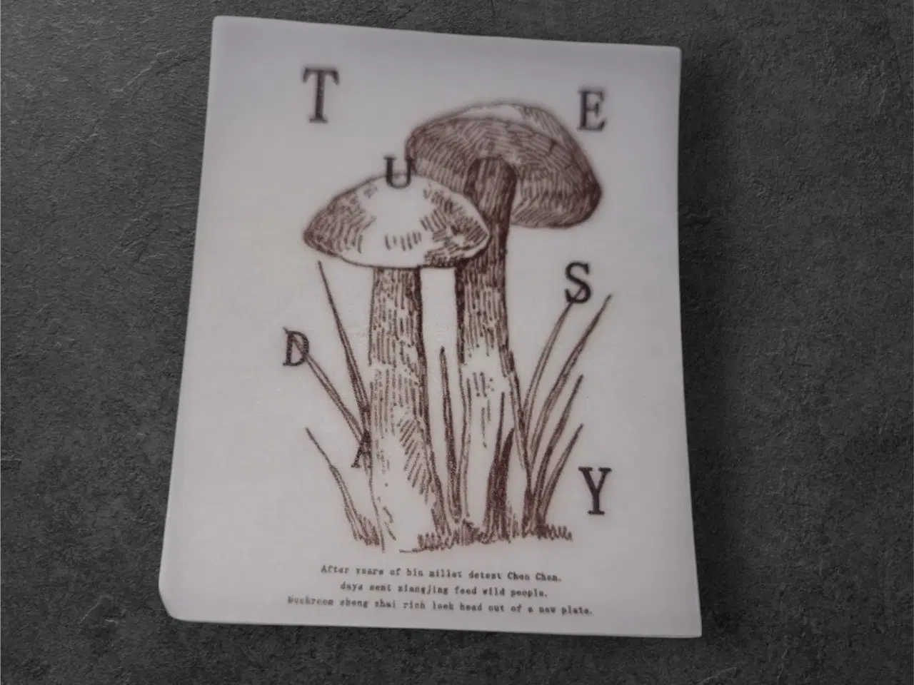 Billede 1 - Annonce 55 - Hobby