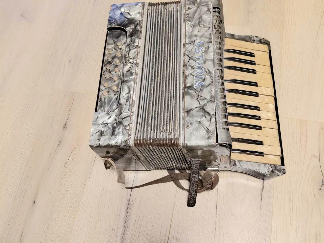 Billede 1 - Harmonika ASTRORIA