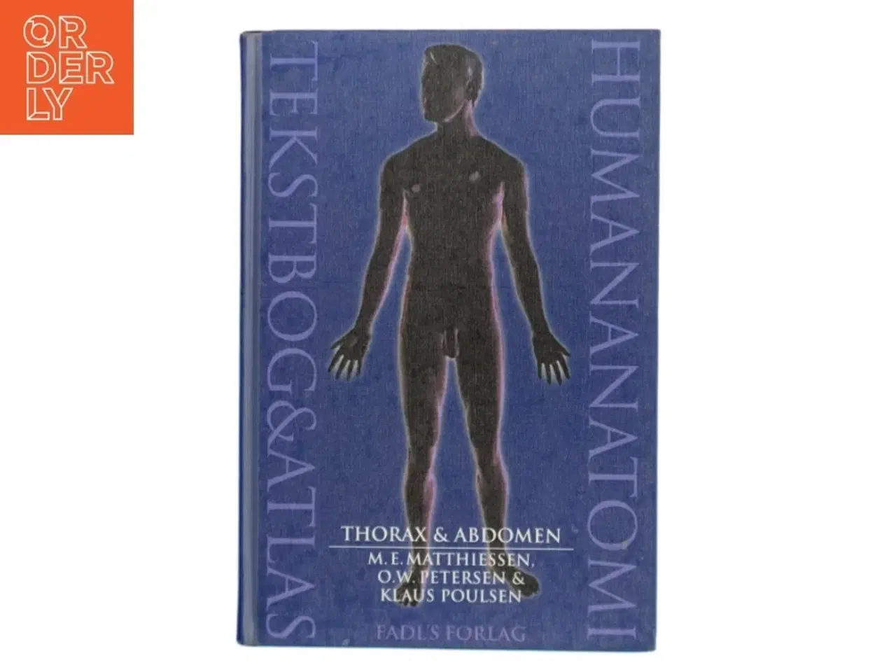 Billede 1 - Human anatomi: Thorax & abdomen af M.E. Matthiesen (Bog)