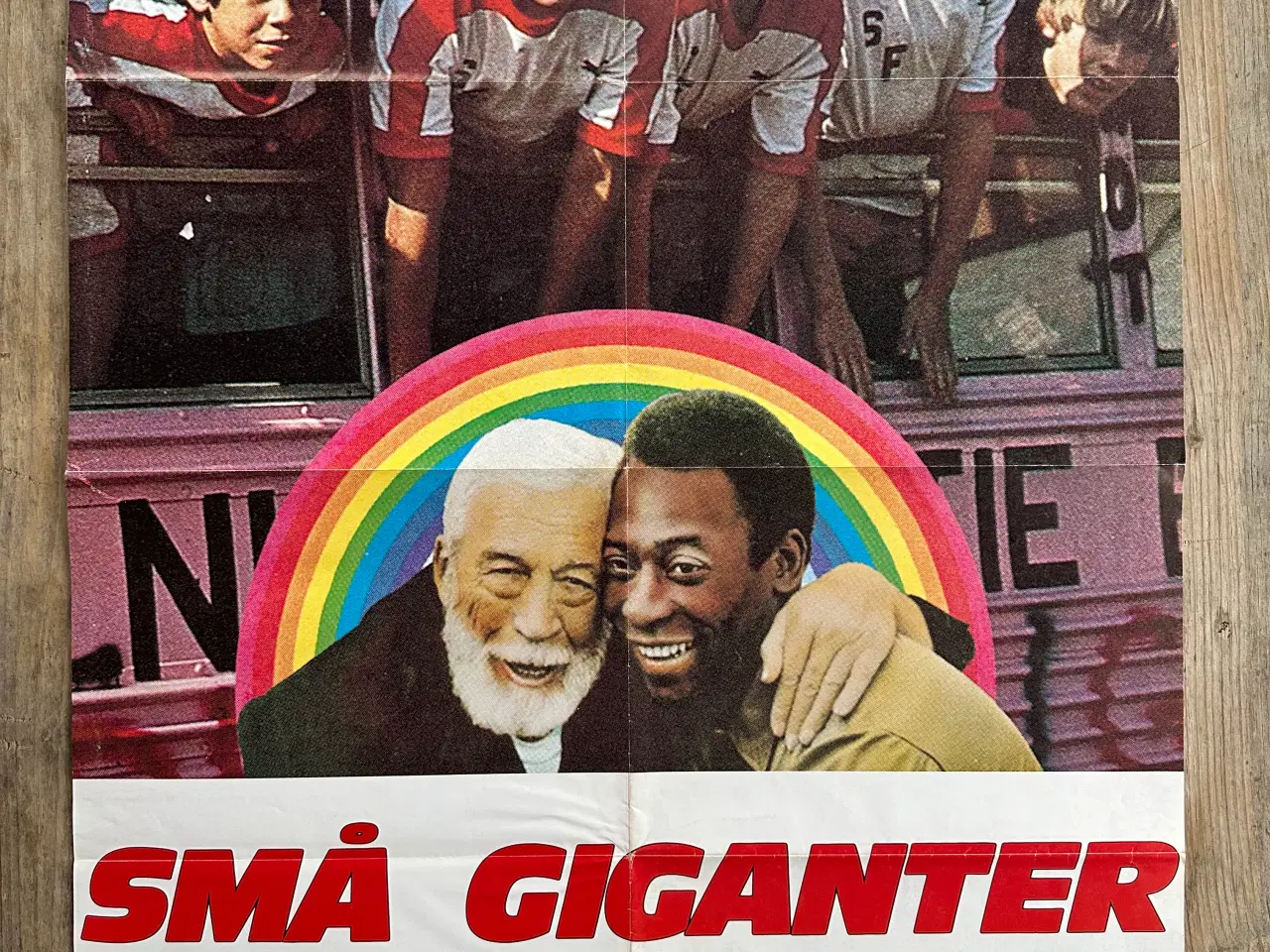 Billede 1 - Filmplakat, motiv: A Minor Miracle – Små Giganter