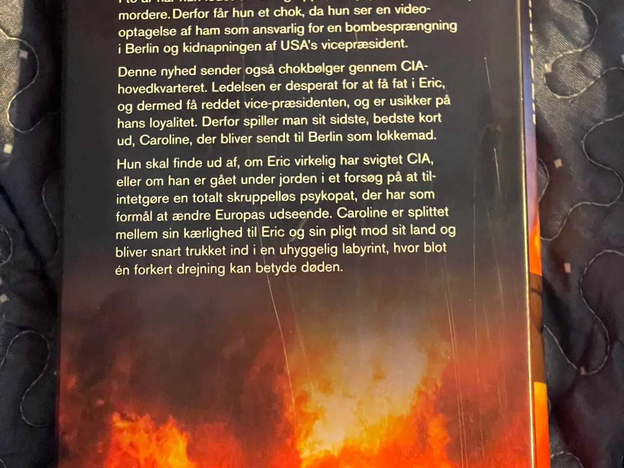 Billede 2 - Stråmanden af Francine Mathews