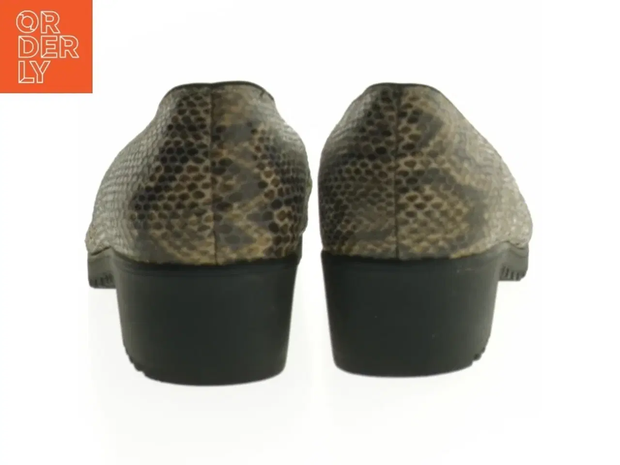 Billede 2 - Sko med slangeskin mønster fra Jenny By Ara (str. 37 )