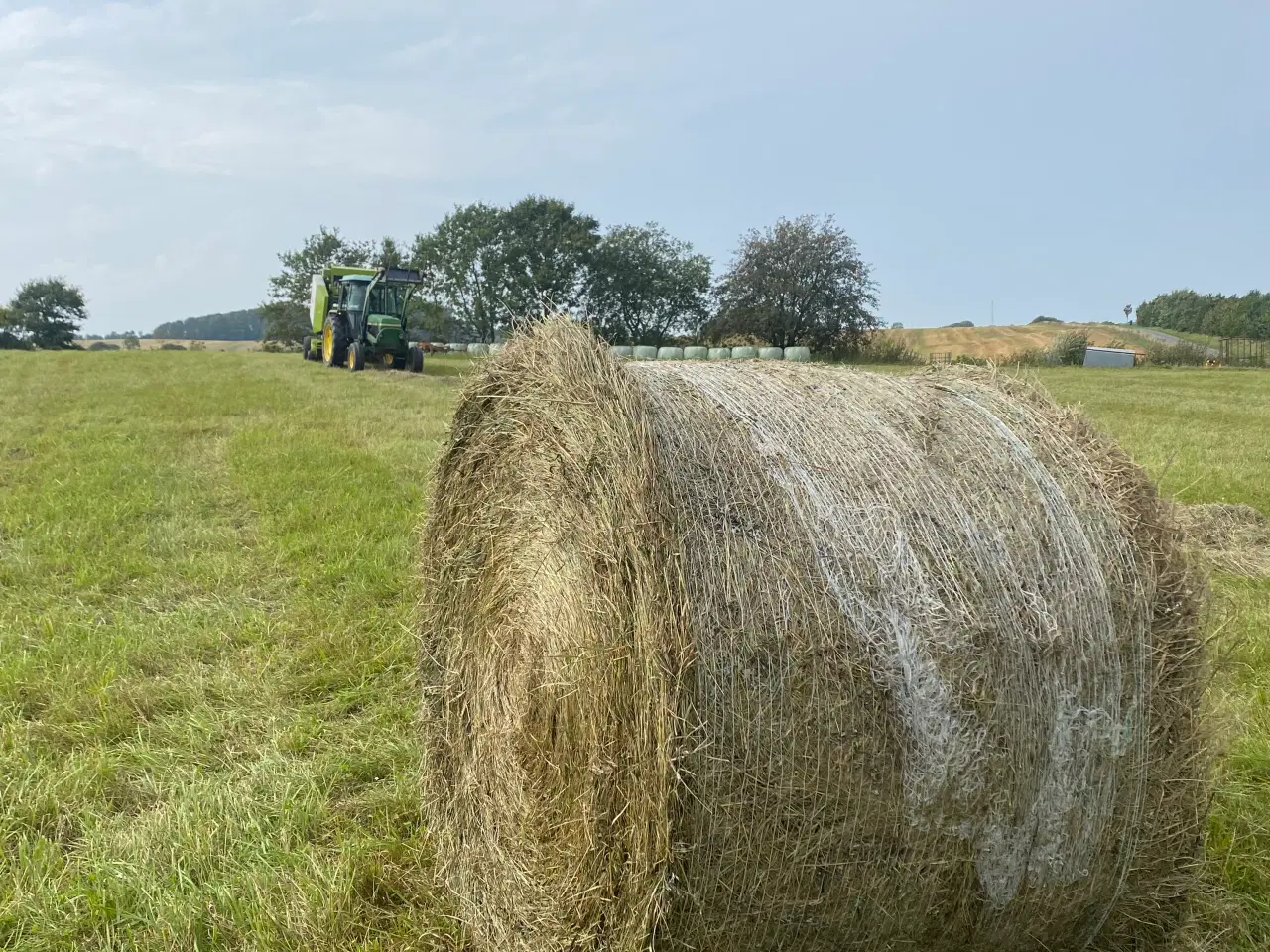 Billede 7 - Claas rundballepresser til flere størrelser