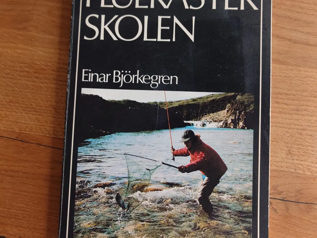 Billede 1 - Fluekaster Skolen – Einar Björkegren