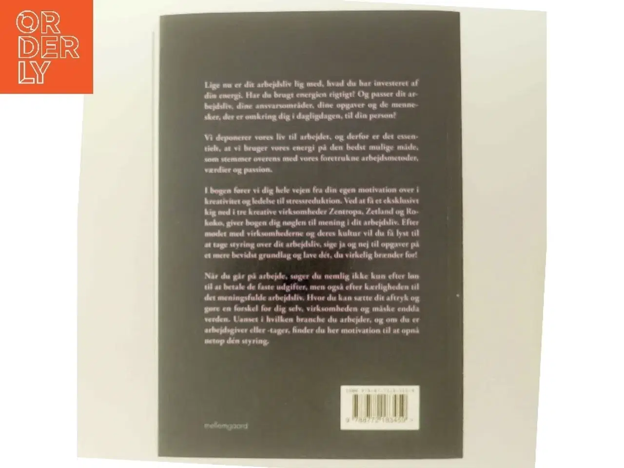 Billede 3 - Det giver mening at elske sit arbejdsliv af Heidi Philipsen (f. 1971-03-18) (Bog)