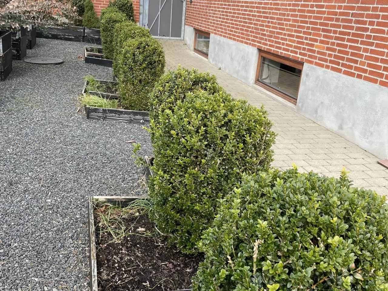 Billede 3 - GRATIS - KUN SAMLET - grav selv op