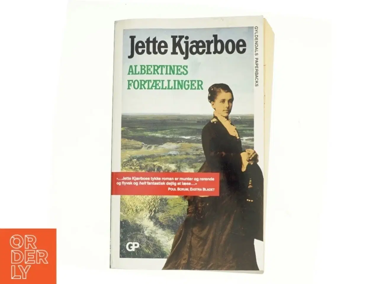 Billede 1 - Albertines fortællinger : en slægtsroman af Jette Kjærboe (Bog)
