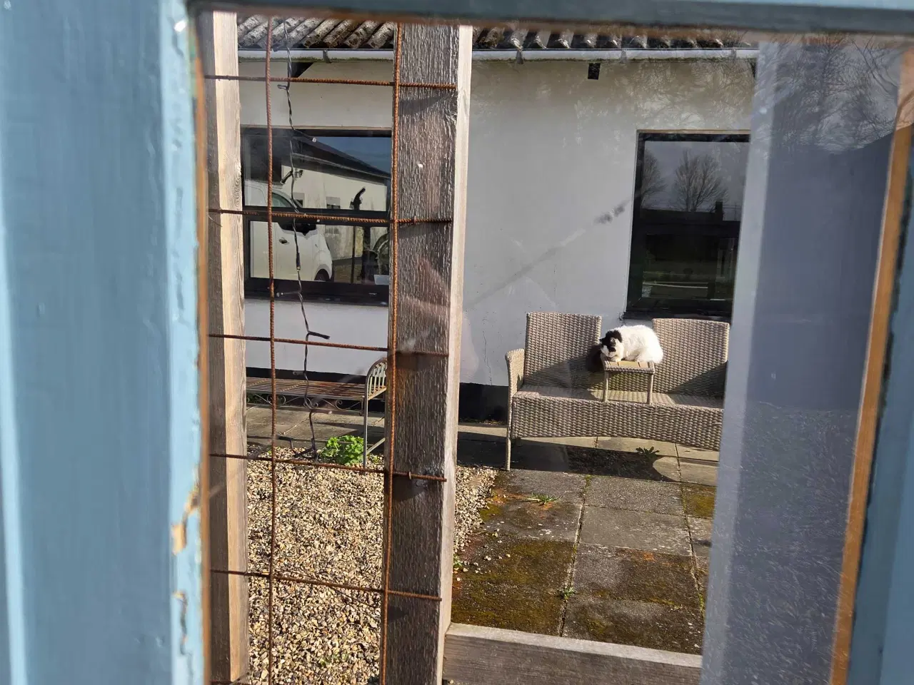 Billede 7 - Antik vitrineskab