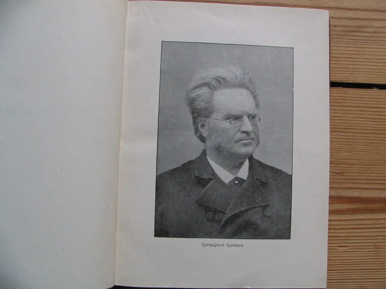 Billede 3 - Bjørnstjerne Bjørnson. Det flager i Byen, på Haven