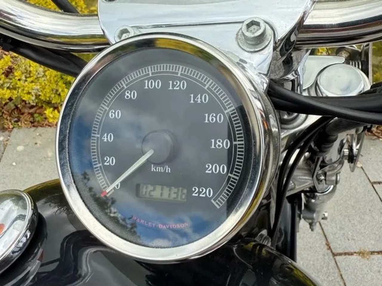 Billede 6 - Velholdt Harley-Davidson XL883 53 Custom