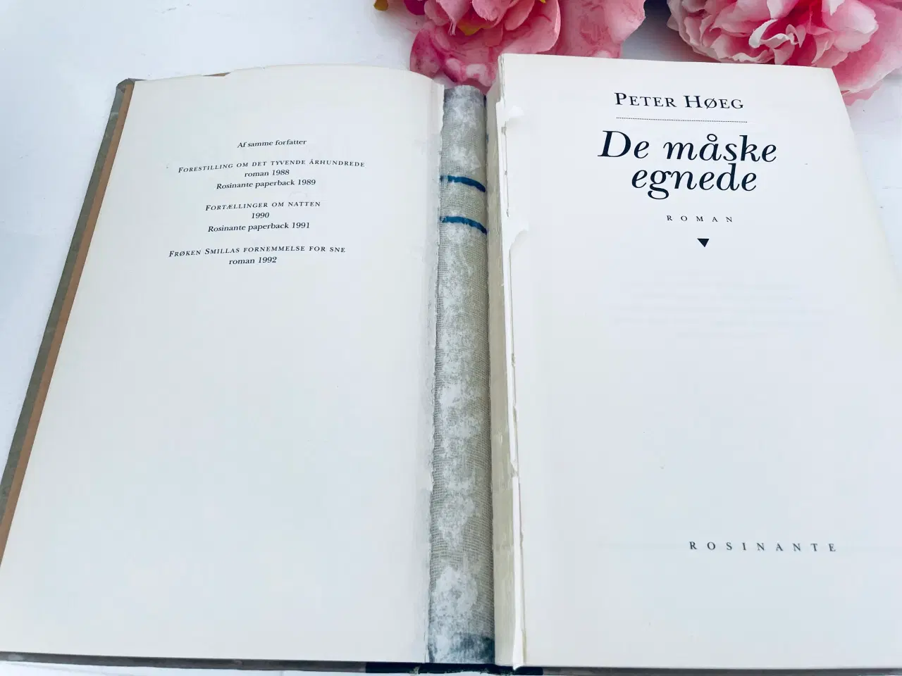 Billede 6 - De måske egnede - Peter Høeg