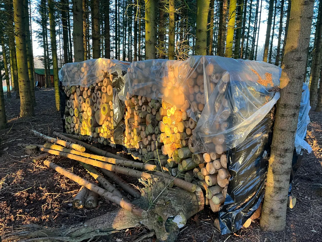Billede 2 - brænde