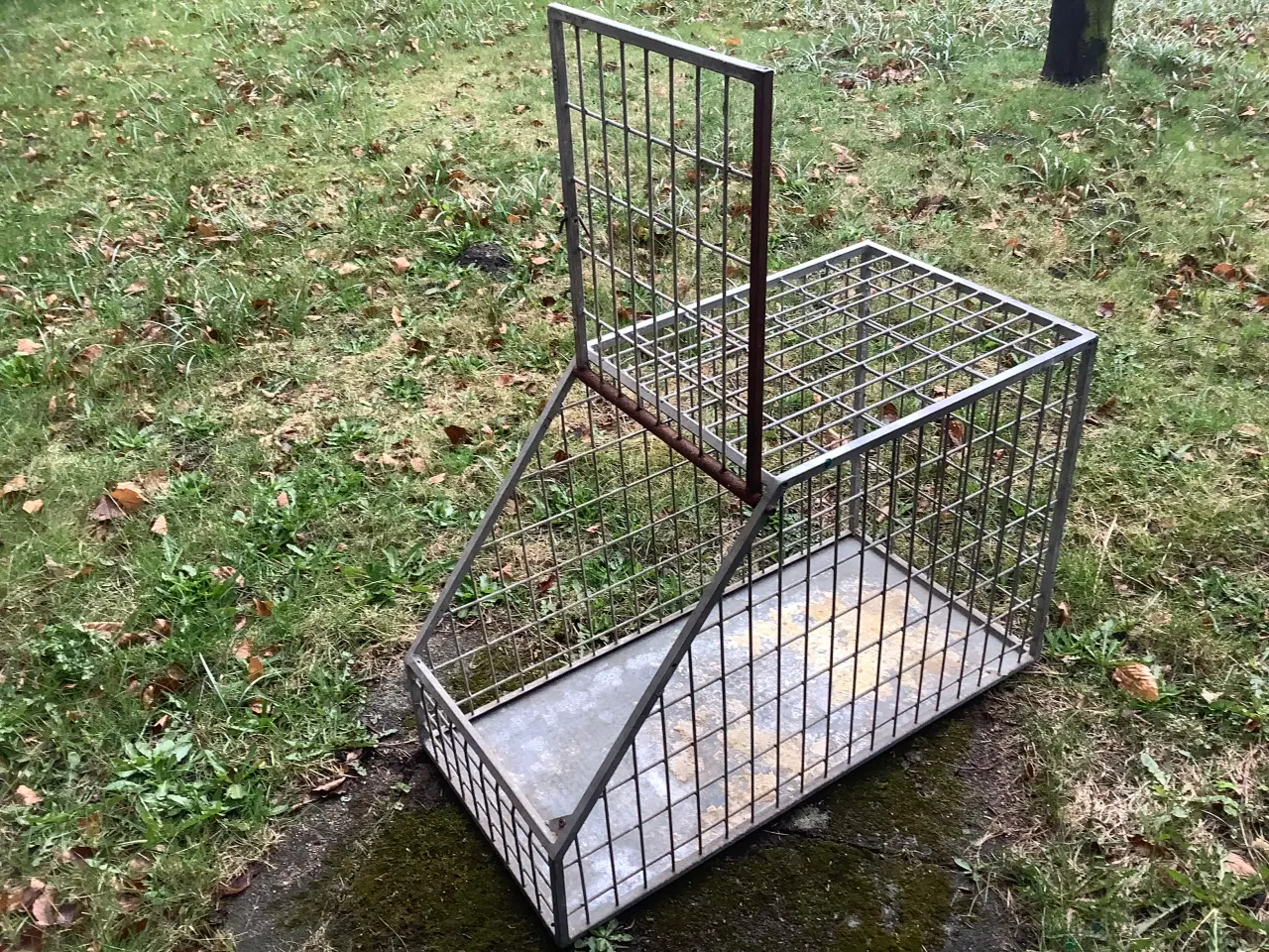 Billede 1 - Hundebur til transport