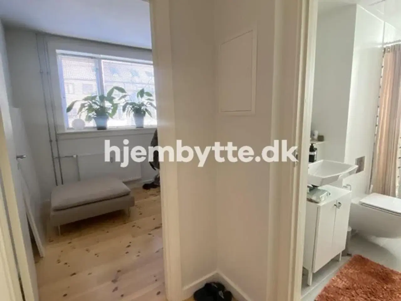 Billede 4 - Hjembytte - Ryparken