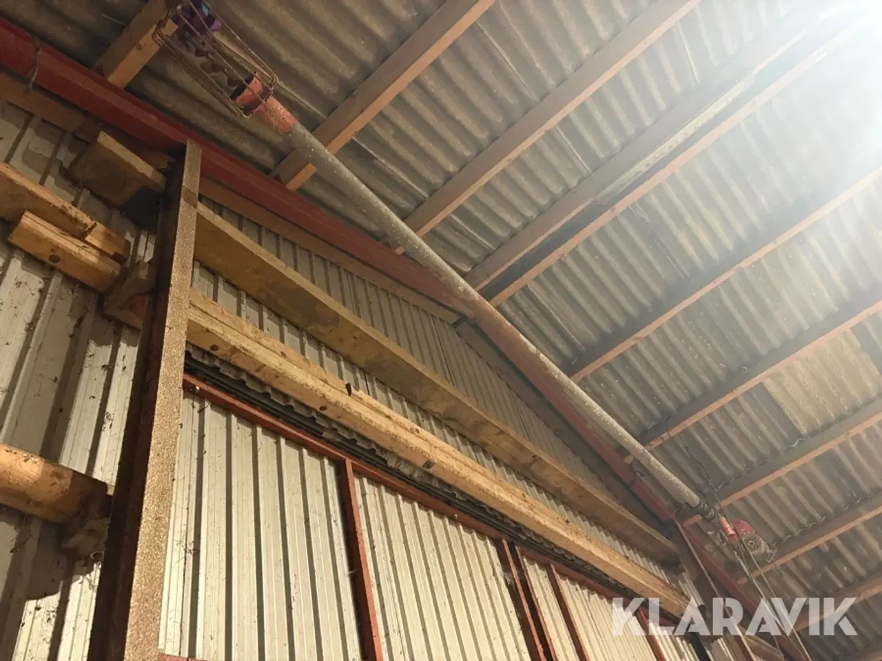 Billede 1 - Kornsnegl