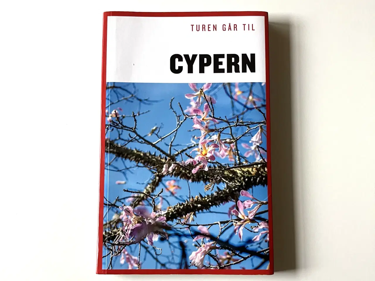 Billede 1 - Turen går til Cypern