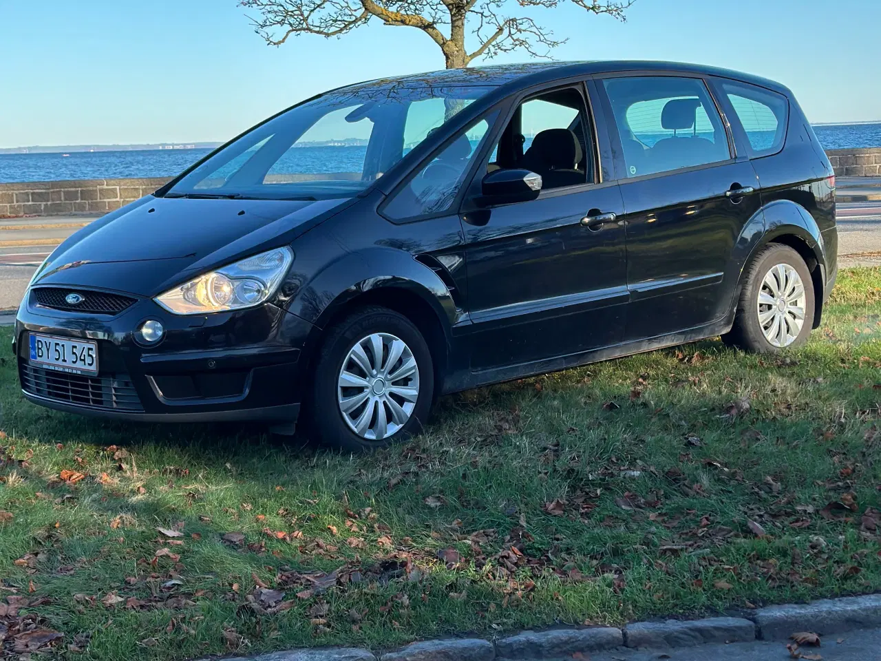 Billede 1 - Ford S-Max