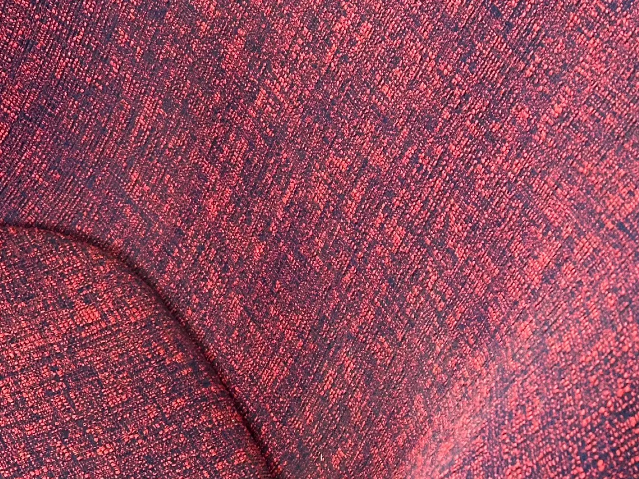 Billede 5 - Classicon Sedan Loungestol – Rød med Sort Stel