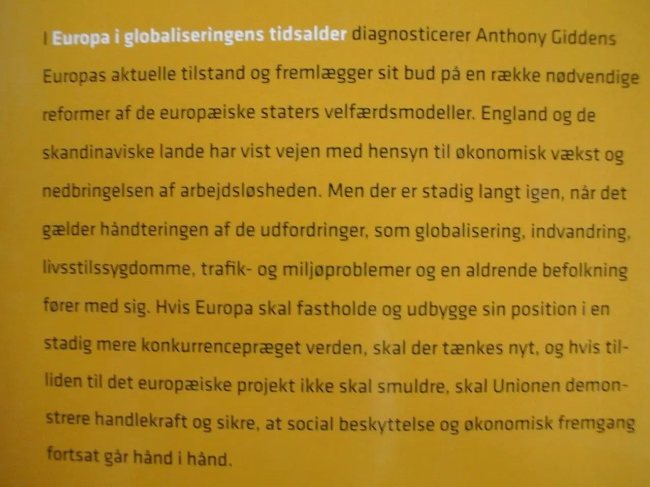 Billede 2 - europa i globaliseringens tidsalder, af anthony gi