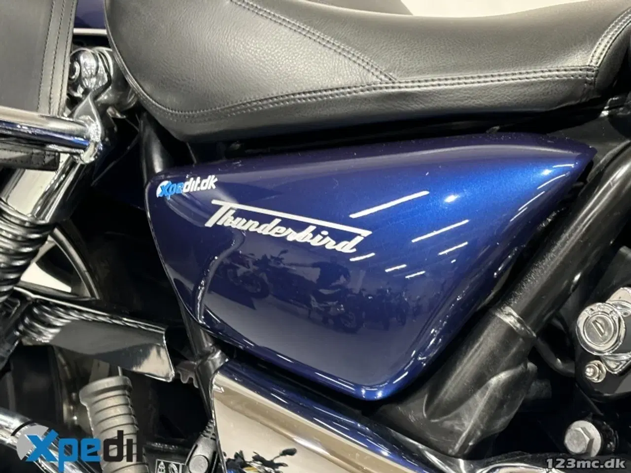 Billede 22 - Triumph Thunderbird