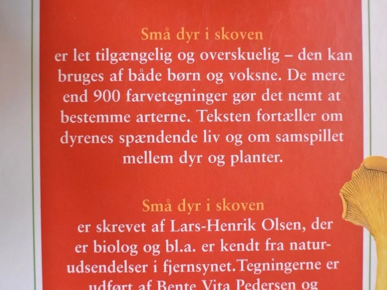 Billede 2 - små dyr i skoven, af lars-henrik olsen, emne: dyr