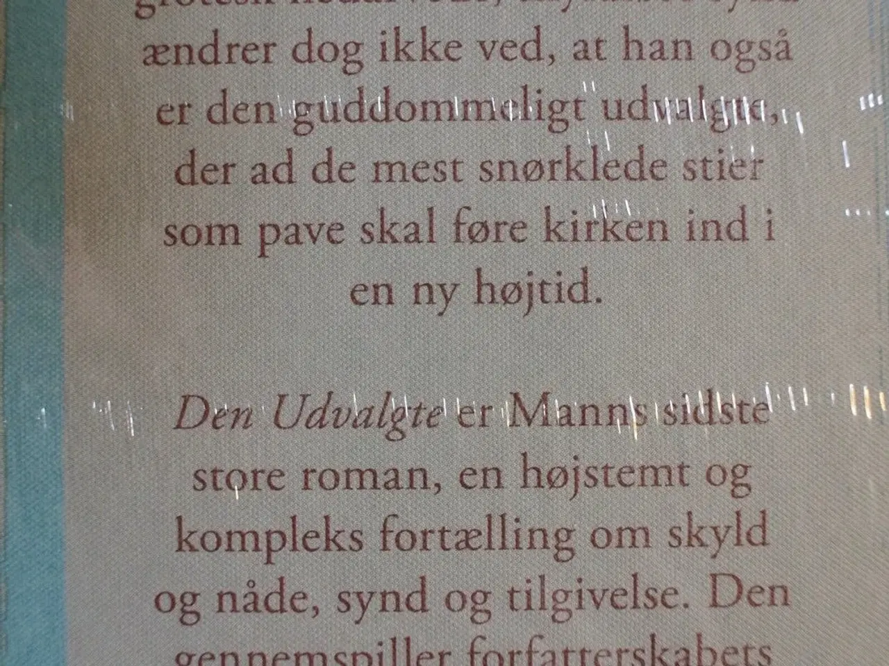Billede 2 - den udvalgte ny i plast, af thomas mann