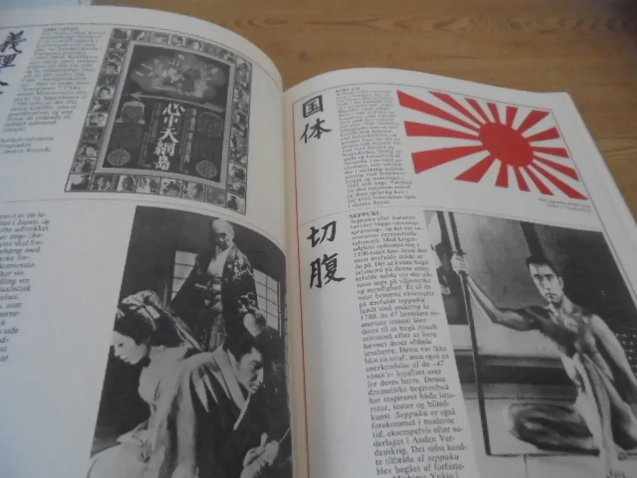 Billede 8 - Japan – Sommerudstilling i Brede 1983