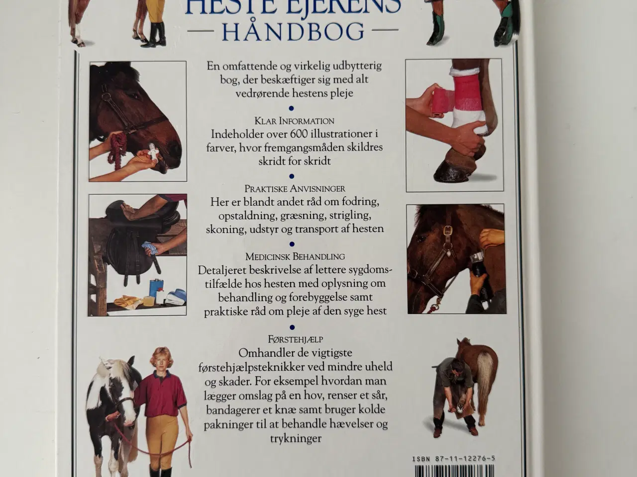 Billede 7 - Hesteejerens Håndbog - Ridehåndbog