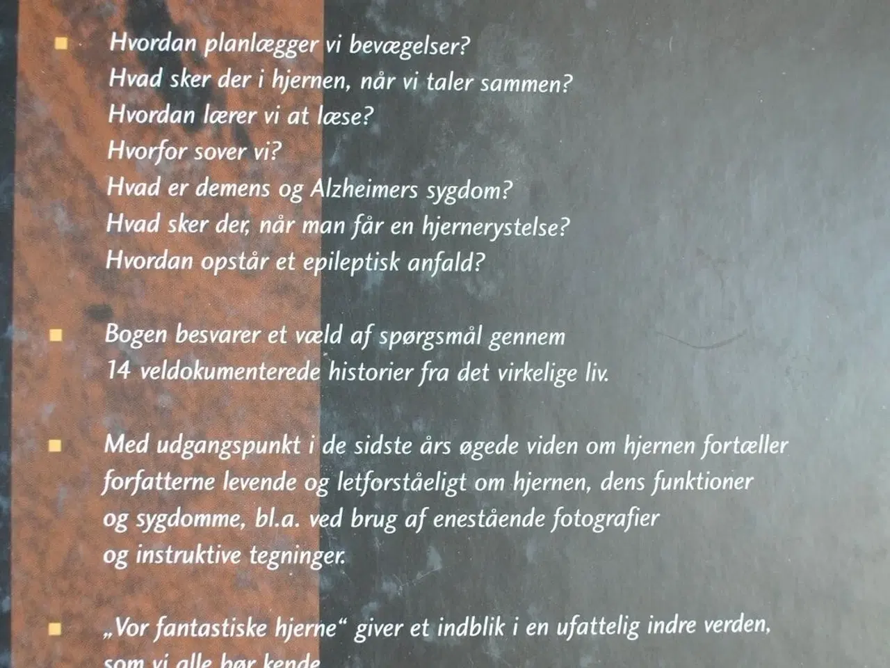 Billede 3 - vor fantastiske hjerne, af espen dietrichs og leif