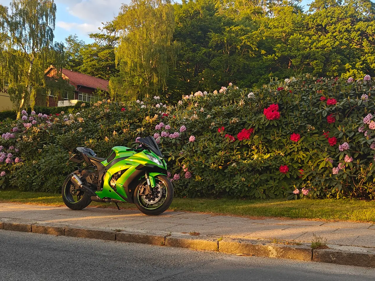 Billede 1 - ZX10R med Unik Farve