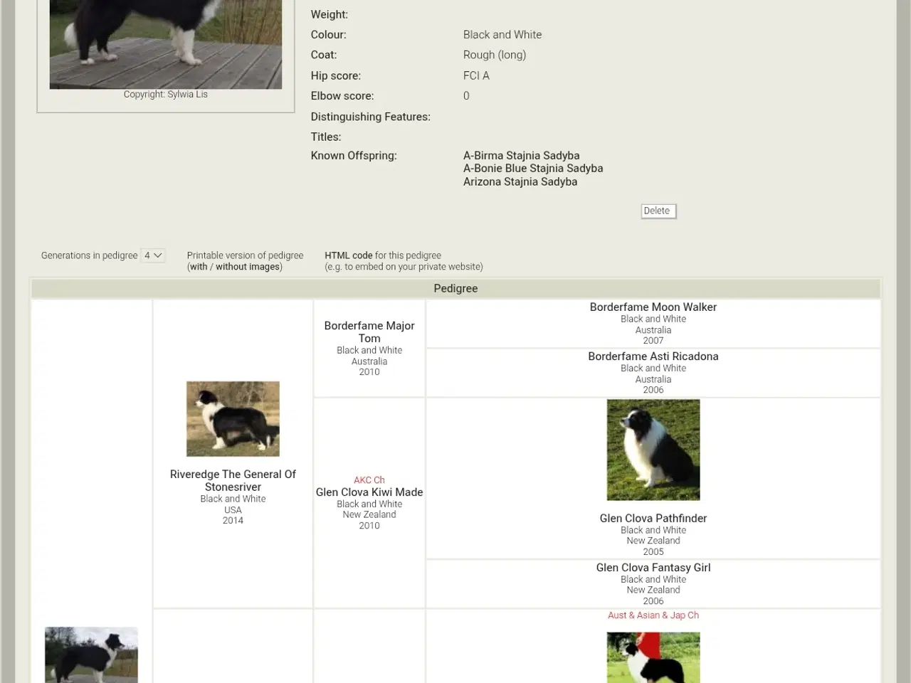 Billede 11 - Hvalpe  stamtavle FC-I Border Collie ADHD, Agility