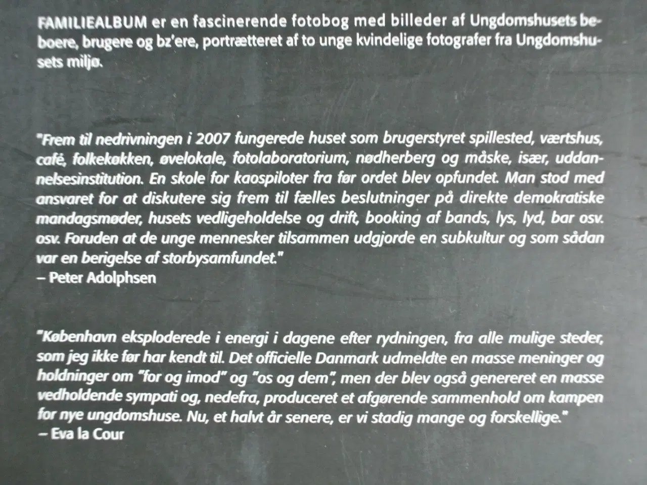 Billede 2 - familiealbum - portrætter fra ungeren, af kajsa gu