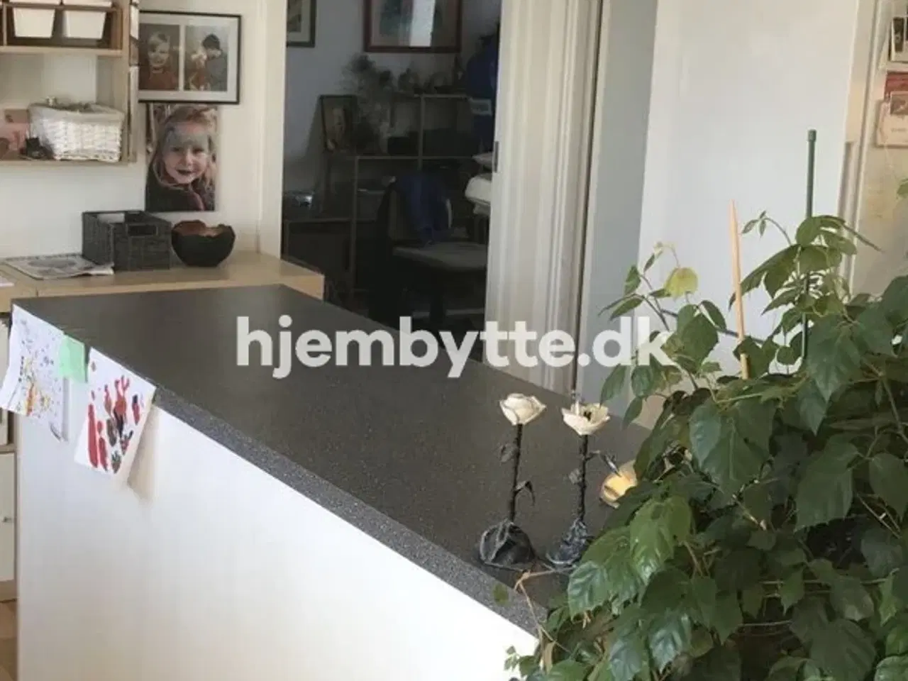 Billede 9 - Hjembytte - JørgenPoulsensHave