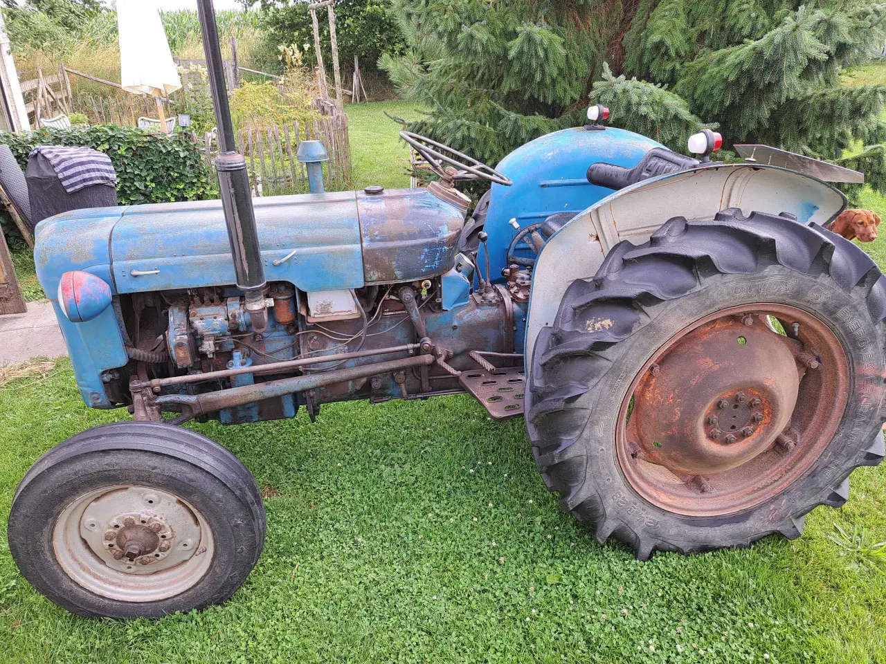 Billede 7 - Fordson Dexta