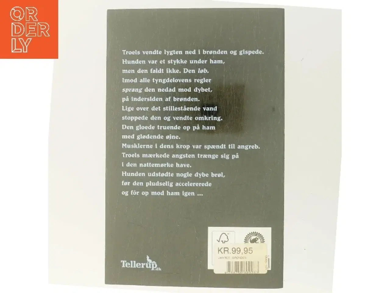 Billede 3 - Uhyret i brønden af Dennis Jürgensen (Bog)