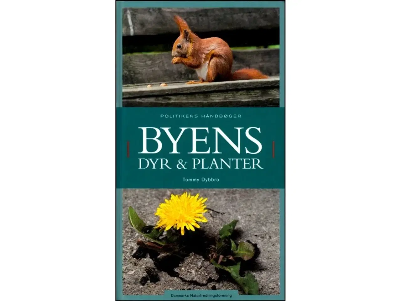 Billede 1 - Byens dyr & planter
