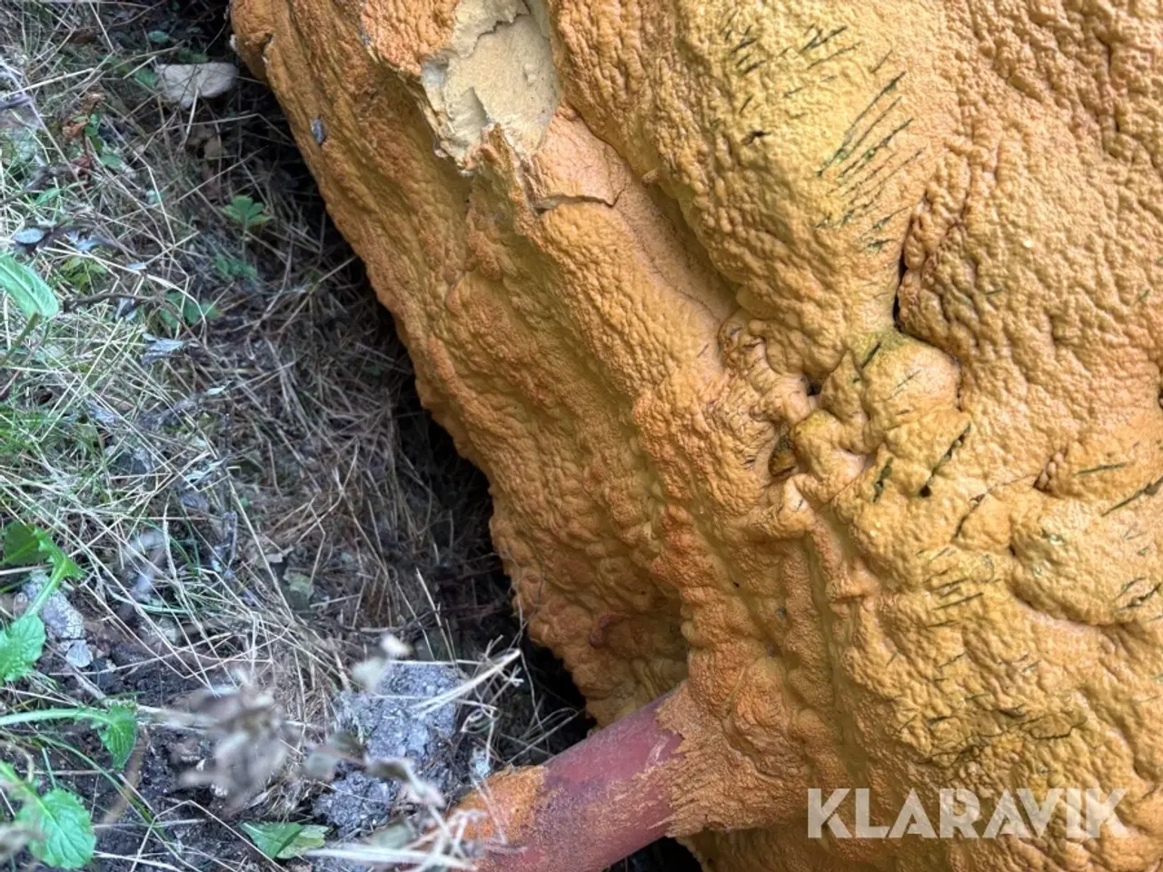 Billede 6 - Akkumuleringstank