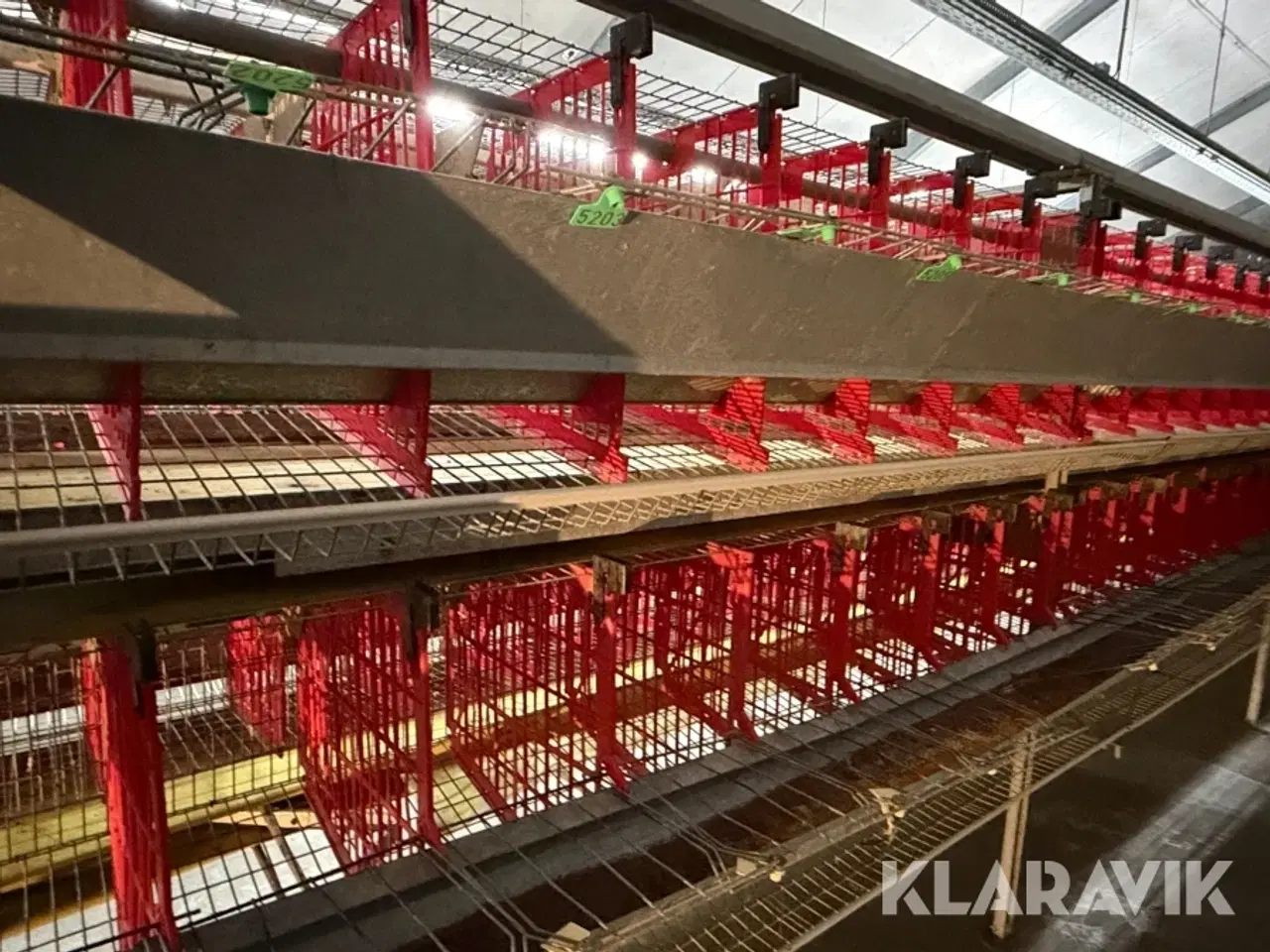 Billede 8 - Produktionslinje Landmeco æglægger system