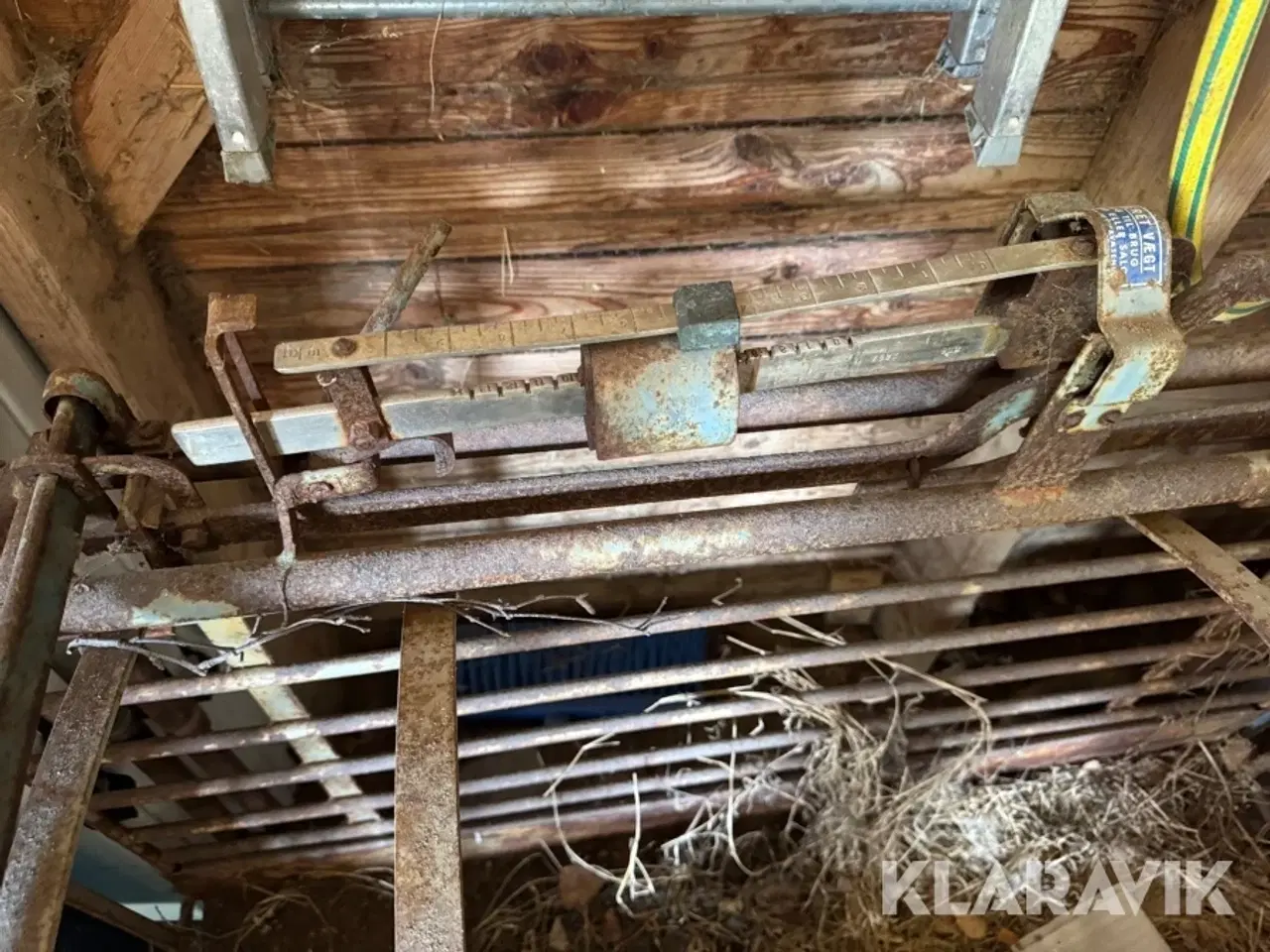 Billede 8 - Grisevægt