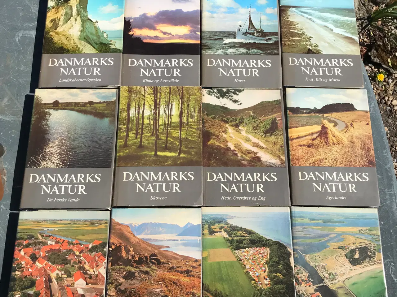 Billede 2 - Danmarks Natur bind 1-12 sælges