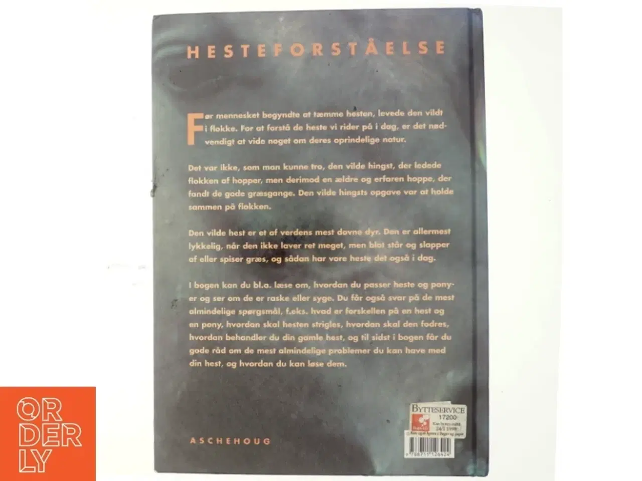 Billede 3 - Hesteforståelse (Bog)