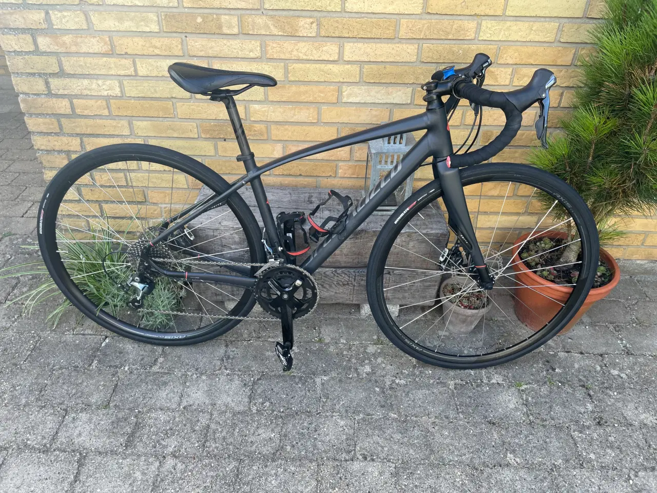 Billede 1 - Racercykel SPECIALIZED 51 cm