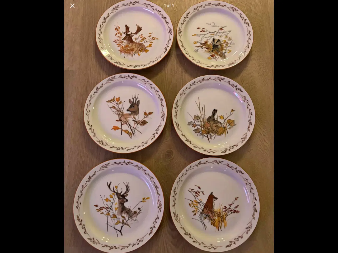 Billede 3 - KØBES MADS STAGE JAGT STEL