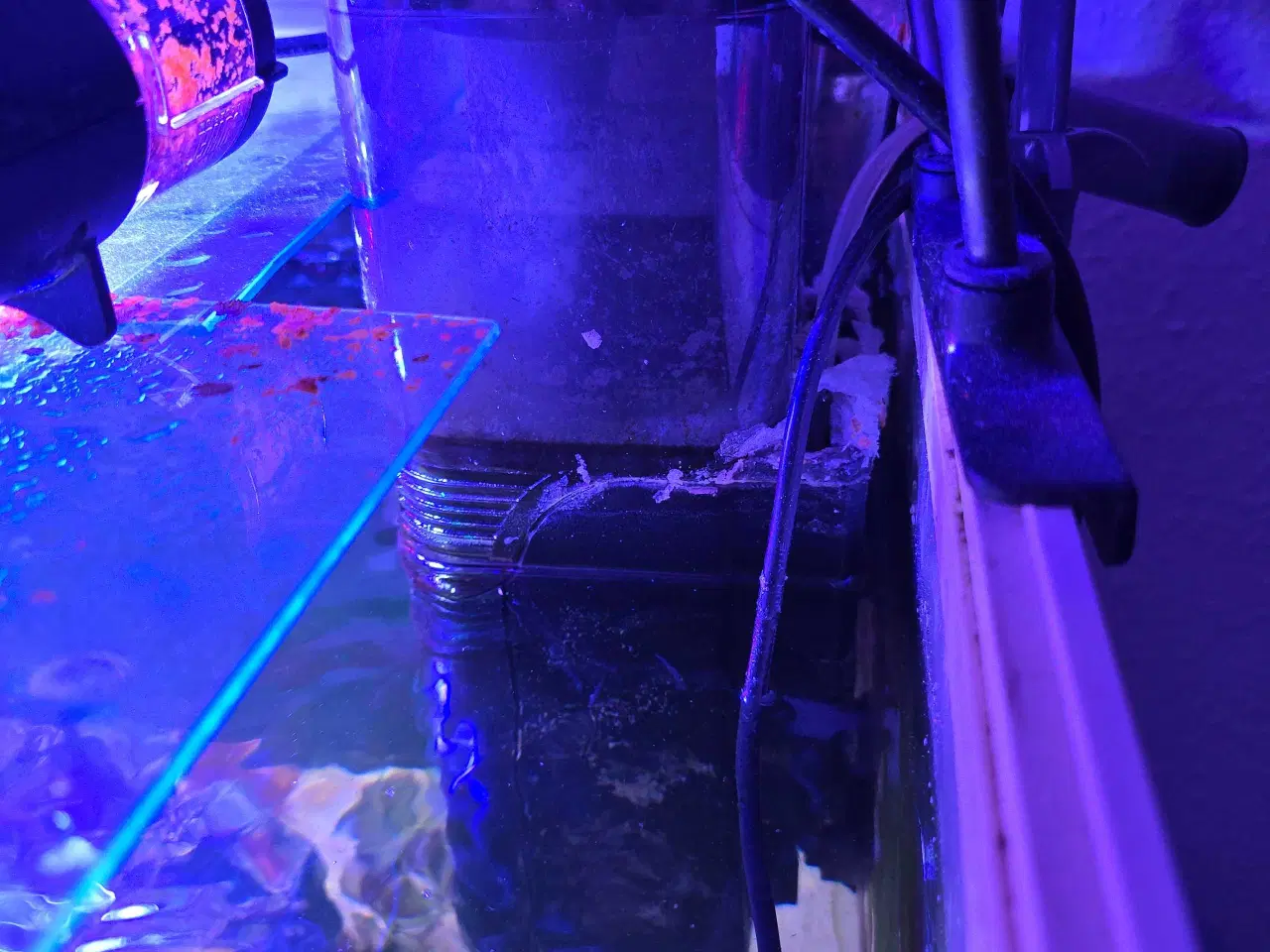 Billede 3 - 450l saltvands akvarium