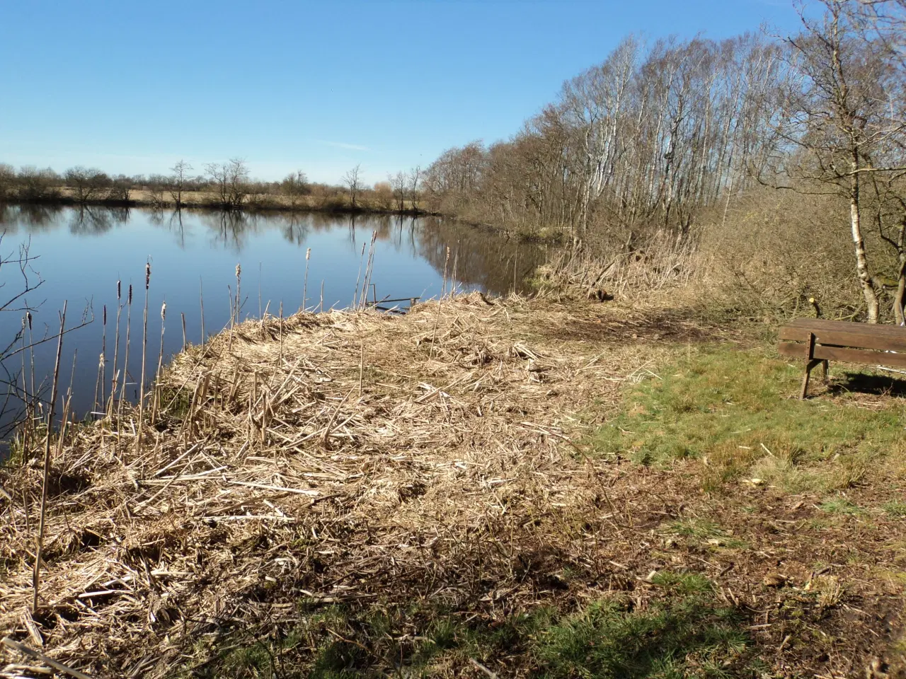 Billede 3 - Naturareal i Midtjylland.