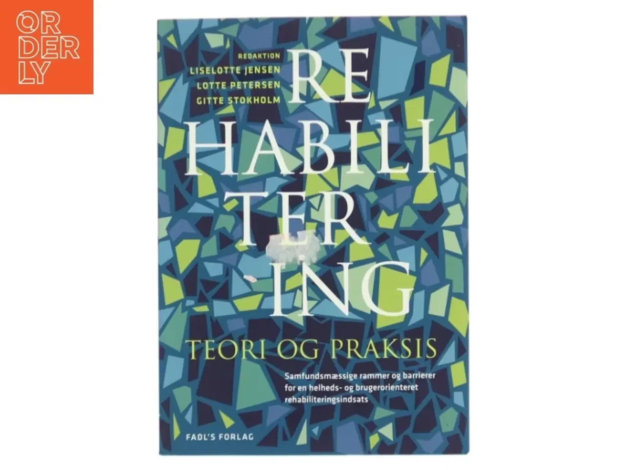 Billede 1 - Rehabilitering : teori & praksis (Bog)