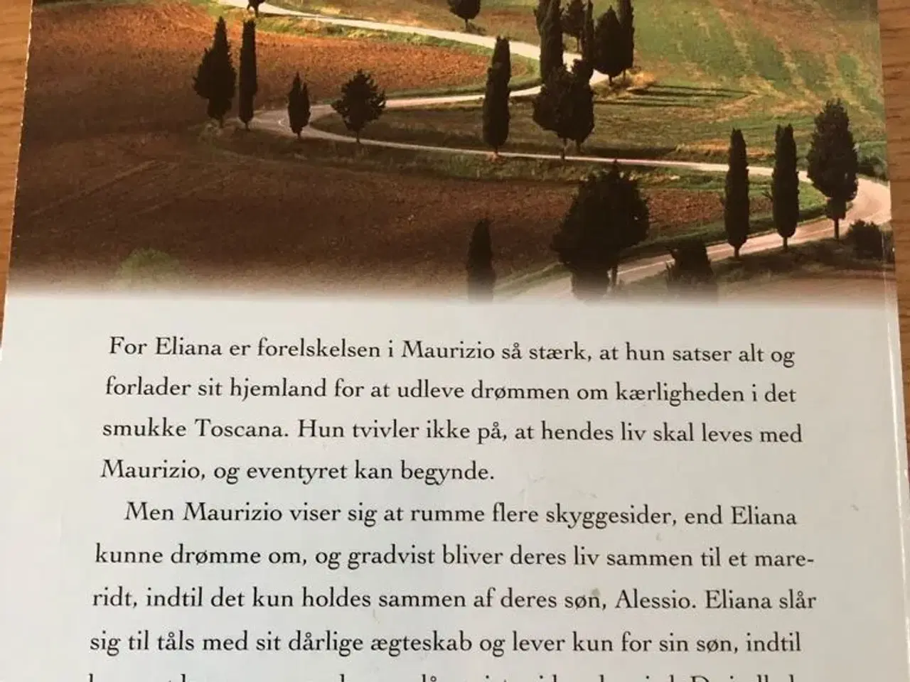 Billede 2 - Det Sidste  Løfte