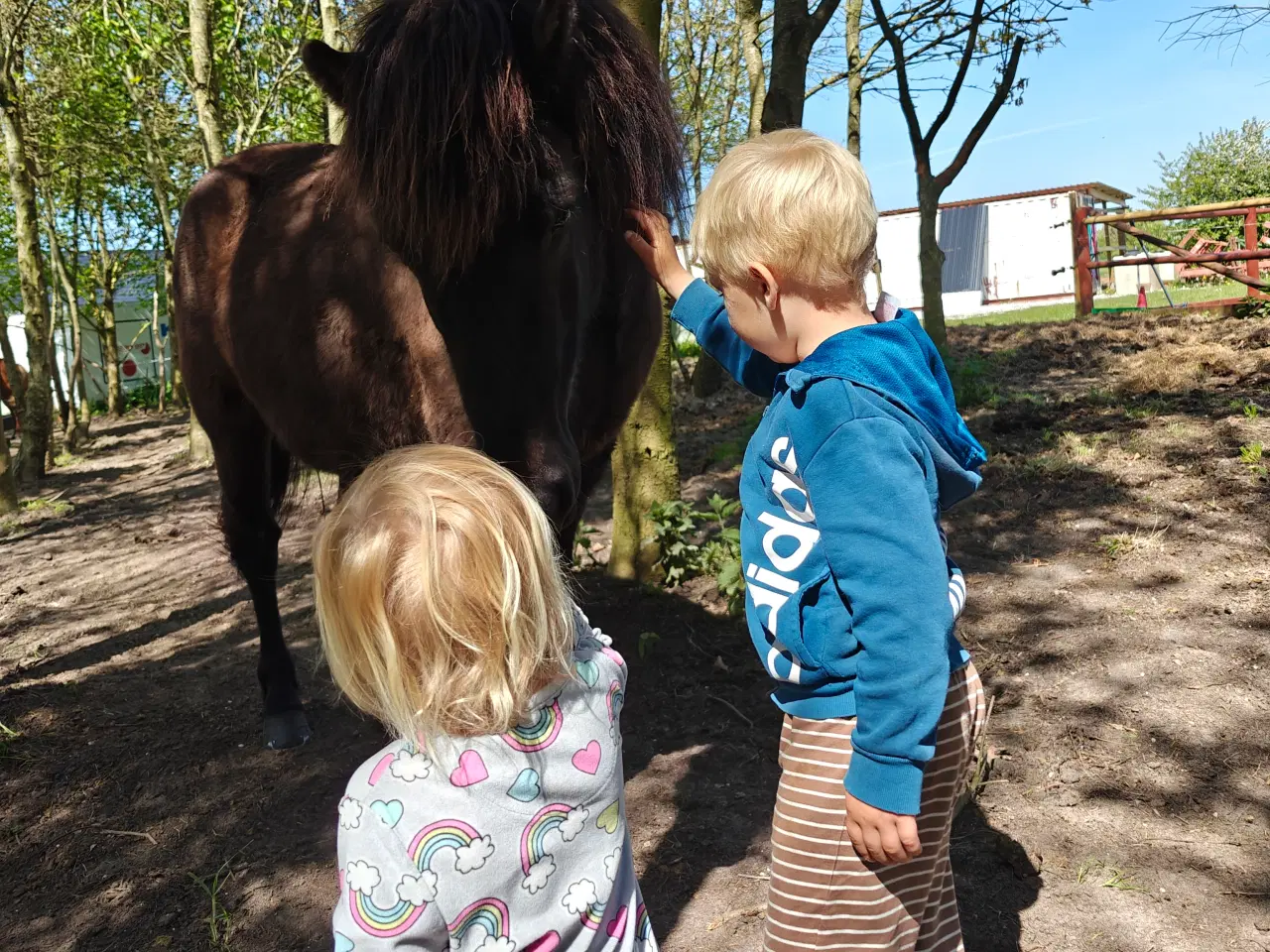 Billede 5 - 5 gænger med sind i topklasse 