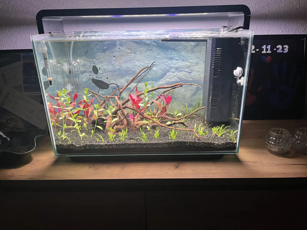 Billede 1 - 60 liters akvarie